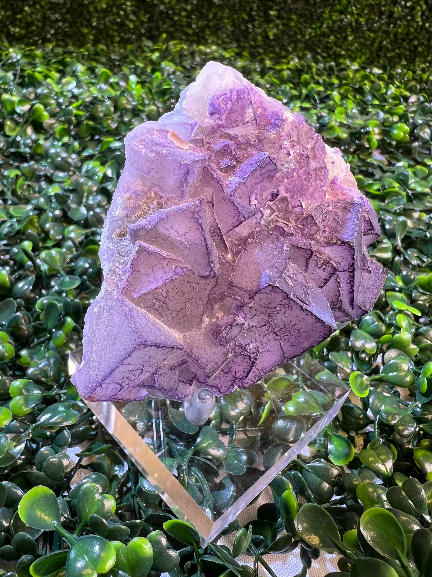 Fujian Pyrite Fluorite Quartz Specimen