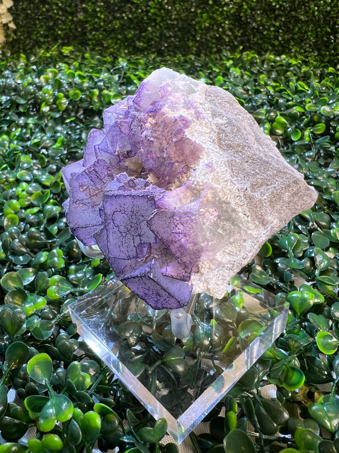 Fujian Pyrite Fluorite Quartz Specimen