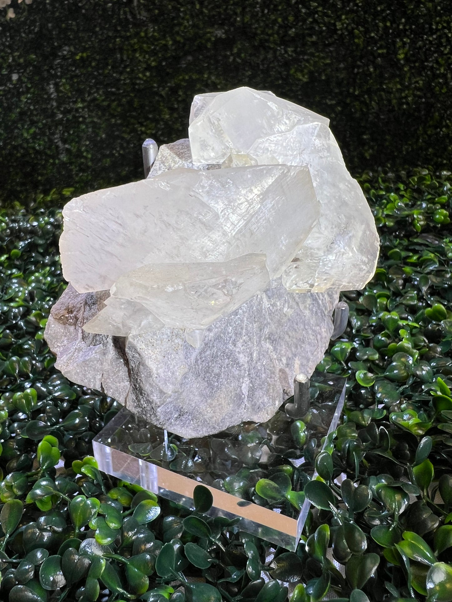 Shell Calcite Specimen