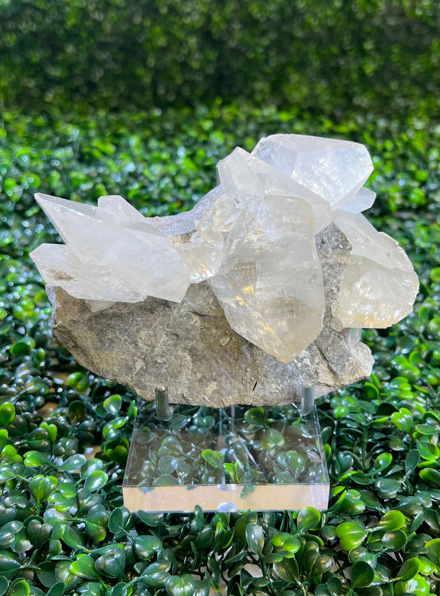 Shell Calcite Specimen