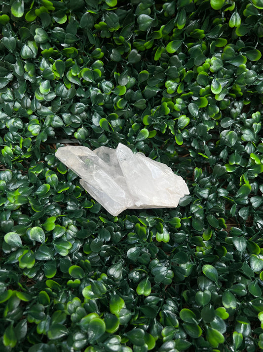 Clear Quartz Cluster