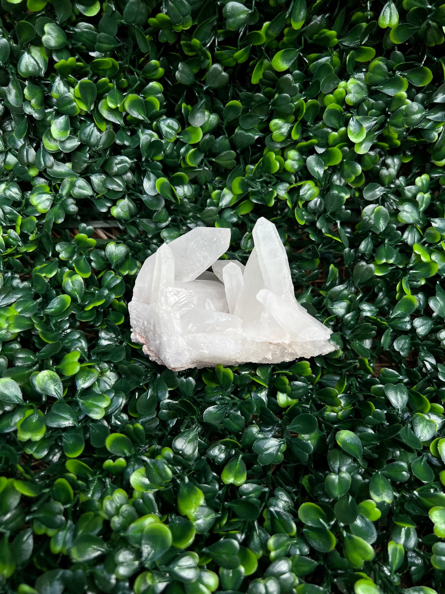 Clear Quartz Cluster