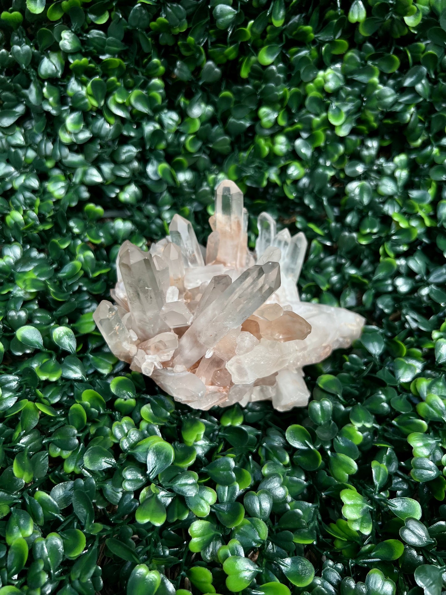 Clear Quartz Cluster