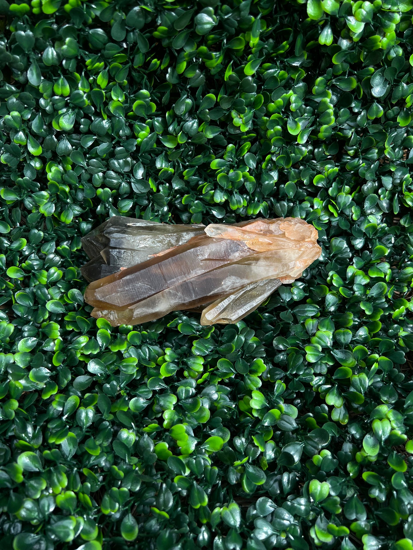 Smokey Quartz Cluster